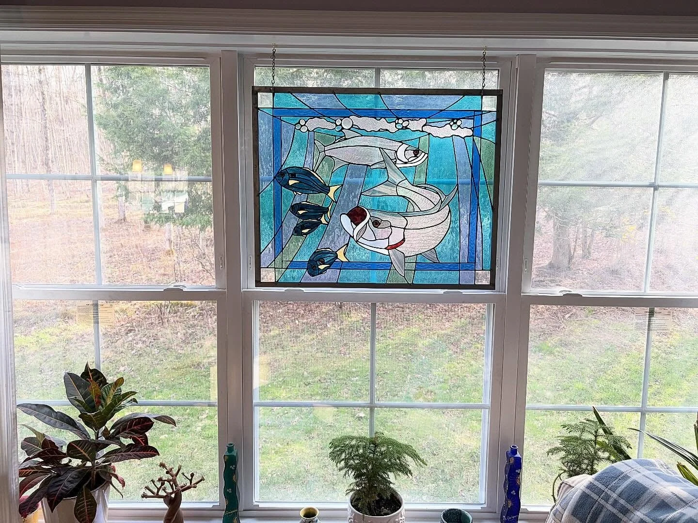 Fish window panel — original photograph