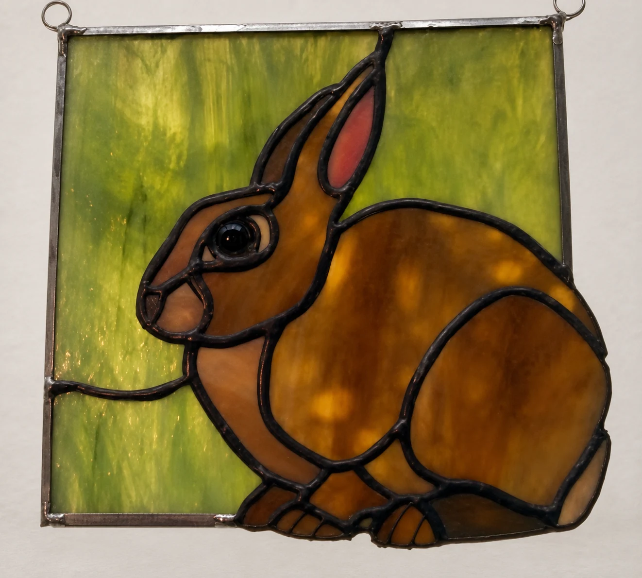 Rabbit panel