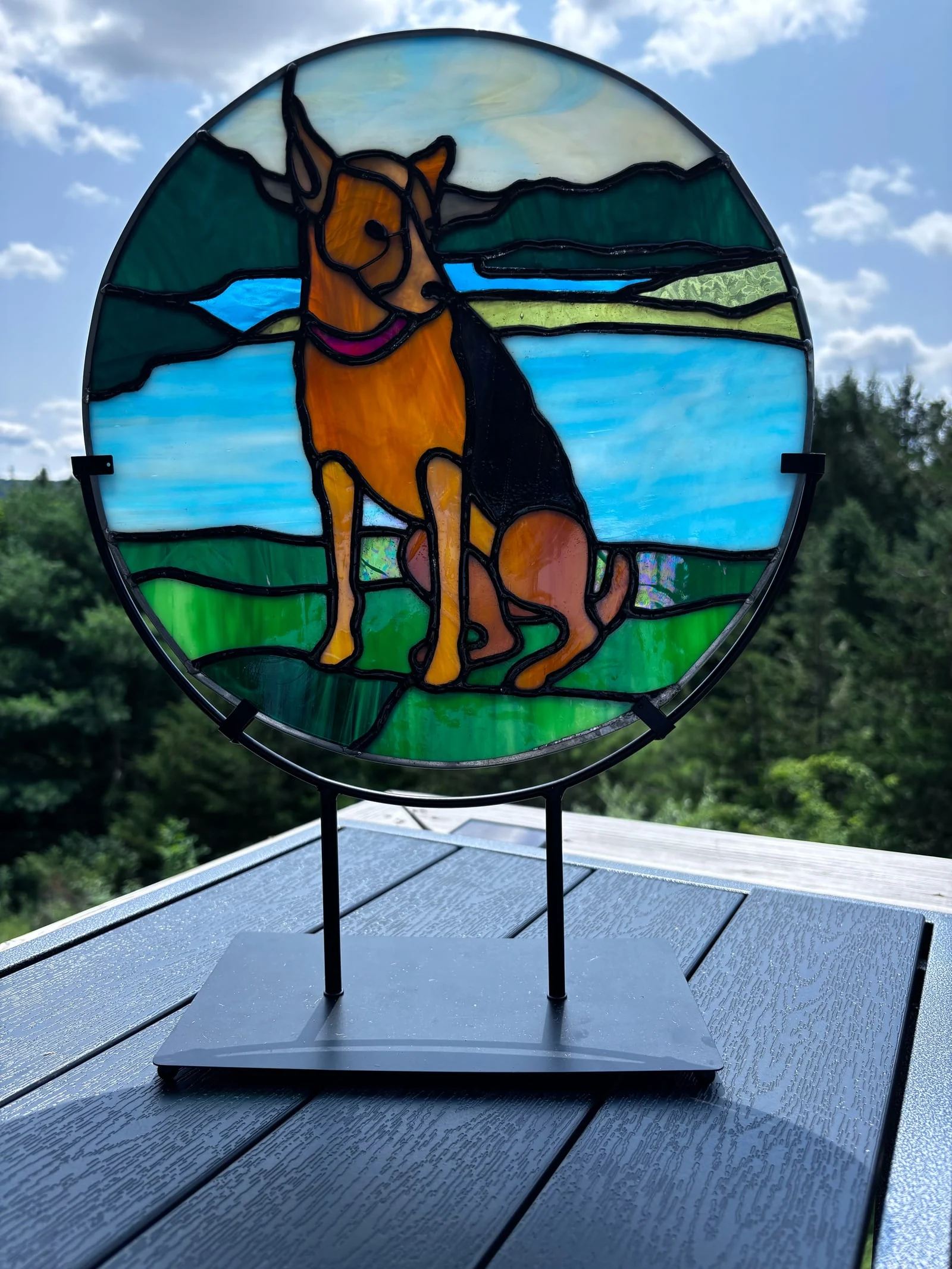 Dog by the lake oval — original photograph